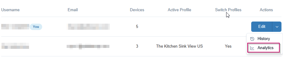 Accessing a single user's analytics through the Users page
