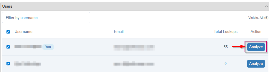 Accessing a single user's analytics through the User Analytics page